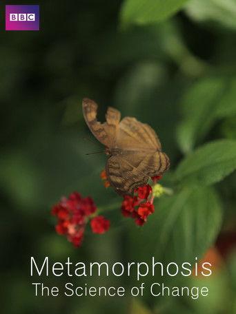Metamorphosis: The Science of Change film afişi