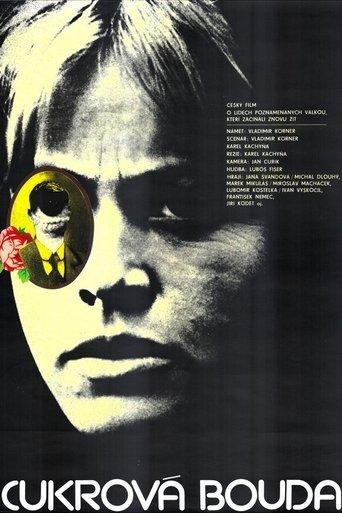 Sugar House film afişi