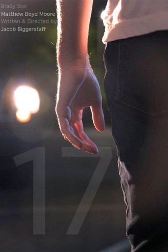 17 film afişi