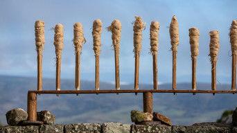 "Besluit" Anniversary-Season Episode 3