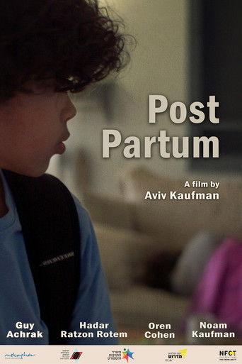 Post Partum film afişi