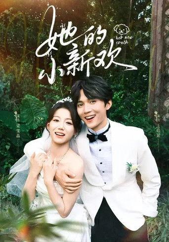 她的小新欢 dizi afişi