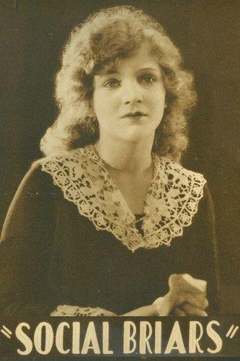 Social Briars film afişi