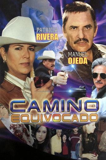 Camino equivocado film afişi