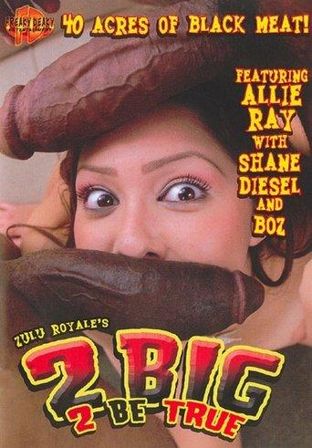 2 Big 2 Be True film afişi