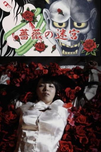 Labyrinth Of Roses film afişi