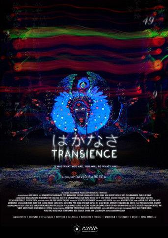 Transience film afişi
