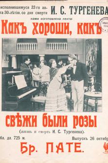 How Beautiful And Fresh Were The Roses... film afişi