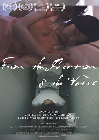 From the Bottom of the Vortex film afişi