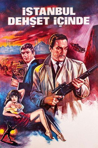 İstanbul Dehşet İçinde film afişi