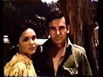 Tears from a Glass Eye