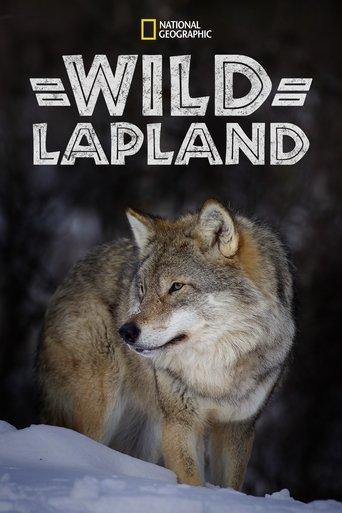 Wild Lapland film afişi
