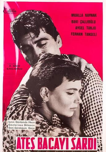 Ateş Bacayı Sardı film afişi