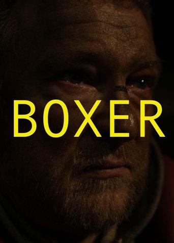 Boxer film afişi