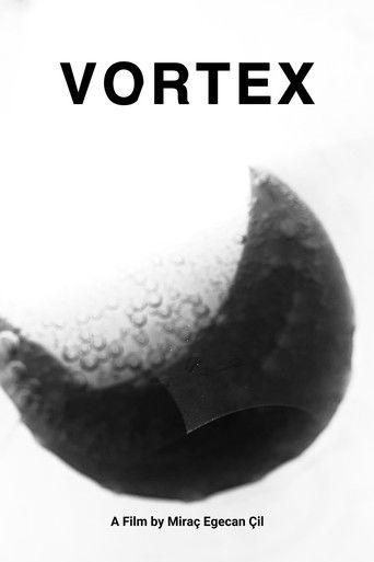 Vortex film afişi