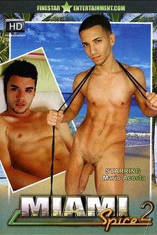 Miami Spice 2 film afişi