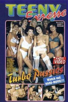 Teeny Exzesse 23: Turbo Pussies film afişi