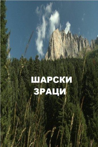 Sunshine over Sharr Mountain film afişi