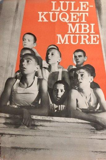 Red Poppies on the Wall film afişi