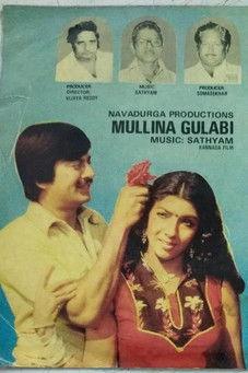 Mullina Gulabi film afişi