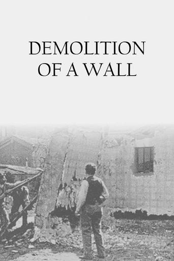 Demolition of a Wall film afişi