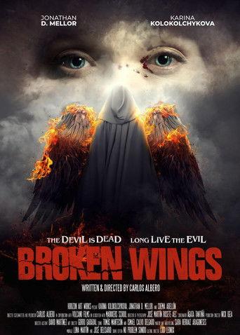 Broken Wings film afişi