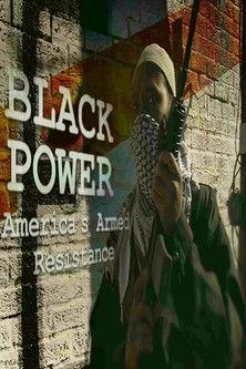 Black Power: America's Armed Resistance film afişi