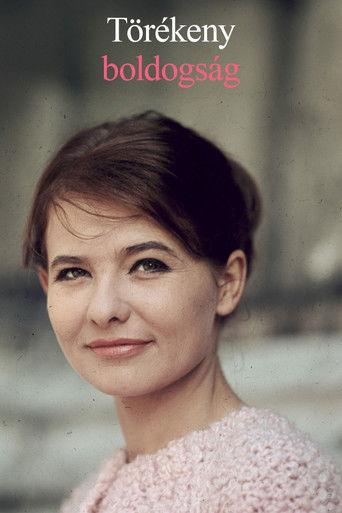 Törékeny boldogság film afişi