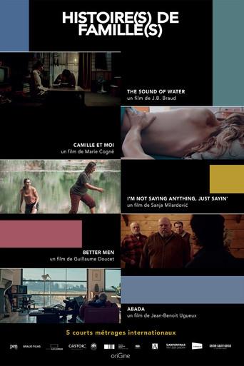 Histoire(s) de Famille(s) film afişi