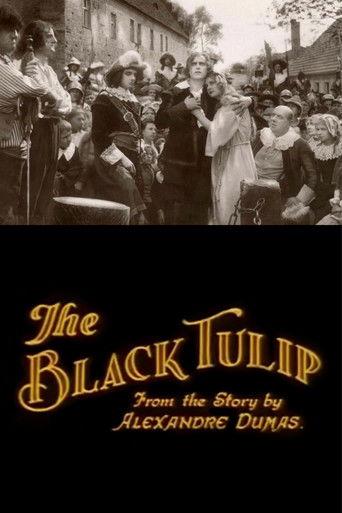 The Black Tulip film afişi