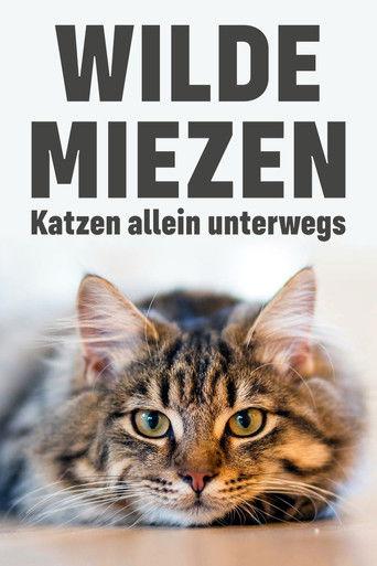Wilde Miezen - Katzen allein unterwegs film afişi