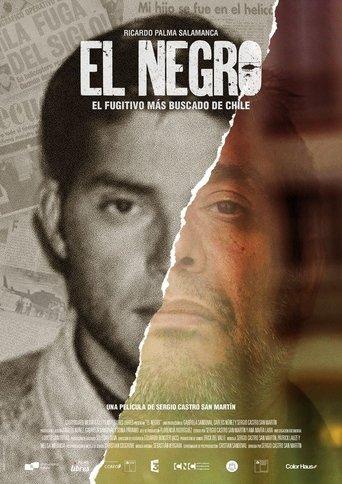 El Negro film afişi