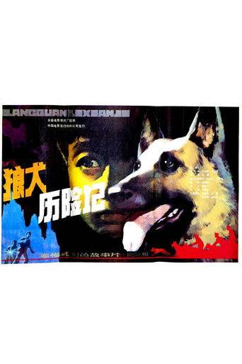 狼犬历险记 film afişi