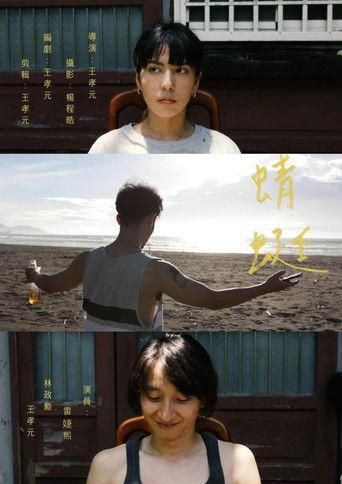 Dragonfly film afişi