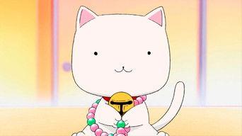 A Solo Performance - Live!