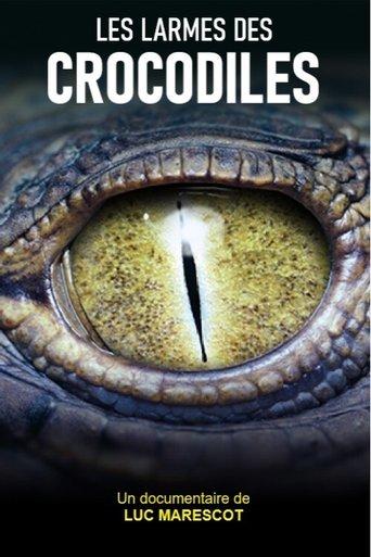 Les larmes des crocodiles film afişi