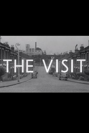 The Visit film afişi