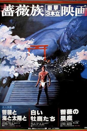 Roses, the Sea and the Sun film afişi