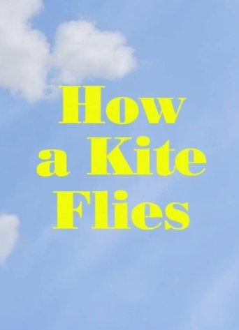 How a Kite Flies film afişi