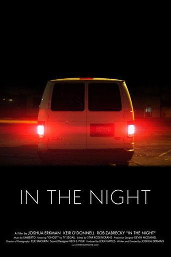 In the Night film afişi