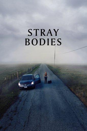 Stray Bodies film afişi