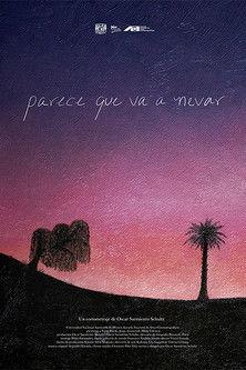 Parece que va a nevar film afişi