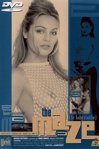 The Maze film afişi