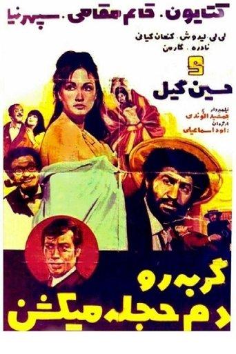 گربه را دم حجله می کشند film afişi