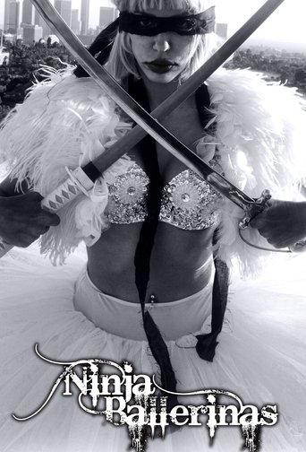 Ninja Ballerina film afişi