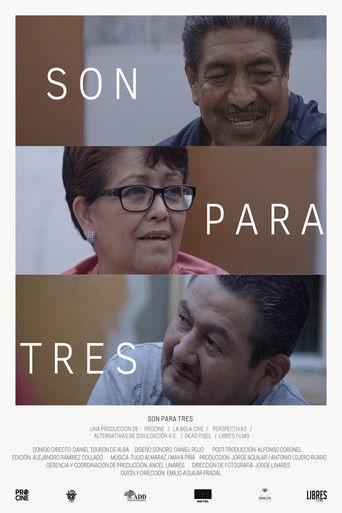 Son para tres film afişi