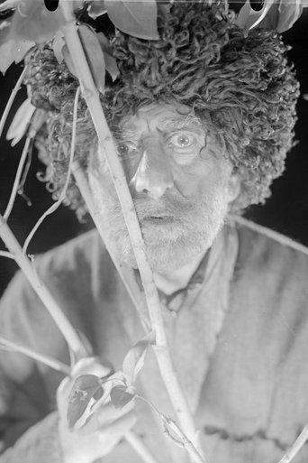 Arshaula film afişi