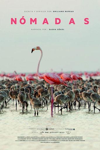 Nomads film afişi