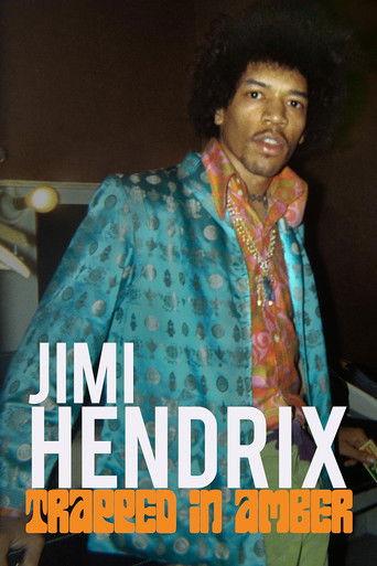 Jimi Hendrix: Trapped in Amber film afişi