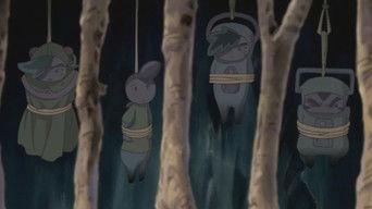 The gentle evening star